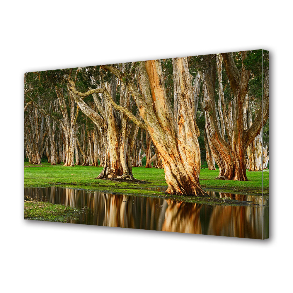 Tablou Canvas Premium ArtDeco, Copaci batrani, Panza pe cadru de lemn, Decoratiuni Moderne pentru Casa, 80 x 120 cm