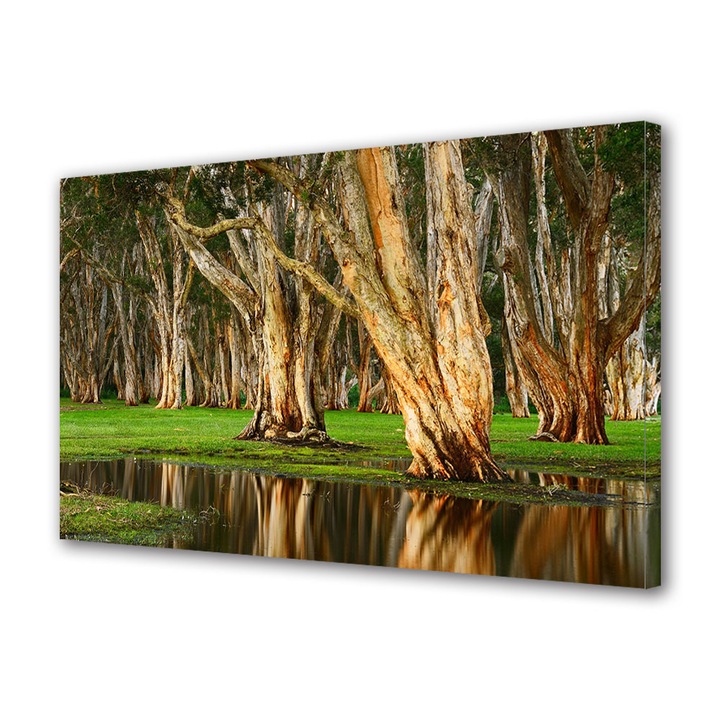 Tablou Canvas Led cu Intrerupator, Luminos in Intuneric, Premium, Art Star, Copaci batrani, Panza pe cadru de lemn, Decoratiuni Moderne pentru Casa, 60 x 90 cm