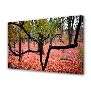 Tablou Canvas Premium ArtDeco, Arbust in prim plan toamna, Panza pe cadru de lemn, Decoratiuni Moderne pentru Casa, 80 x 120 cm Tablou Canvas Premium ArtDeco, Arbust in prim plan toamna, Panza pe cadru de lemn, Decoratiuni Moderne pentru Casa, 80 x 120 cm