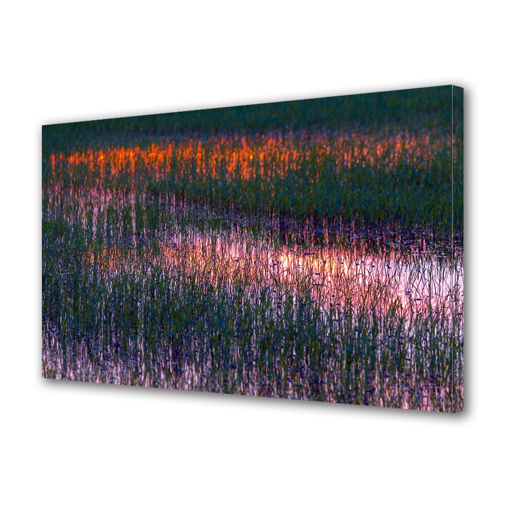 Tablou Canvas Premium ArtDeco, Iarba deasa, Panza pe cadru de lemn, Decoratiuni Moderne pentru Casa, 50 x 70 cm