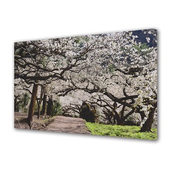 Tablou Canvas Premium ArtDeco, Copaci infloriti primavara, Panza pe cadru de lemn, Decoratiuni Moderne pentru Casa, 40 x 60 cm Tablou Canvas Premium ArtDeco, Copaci infloriti primavara, Panza pe cadru de lemn, Decoratiuni Moderne pentru Casa, 40 x 60 cm