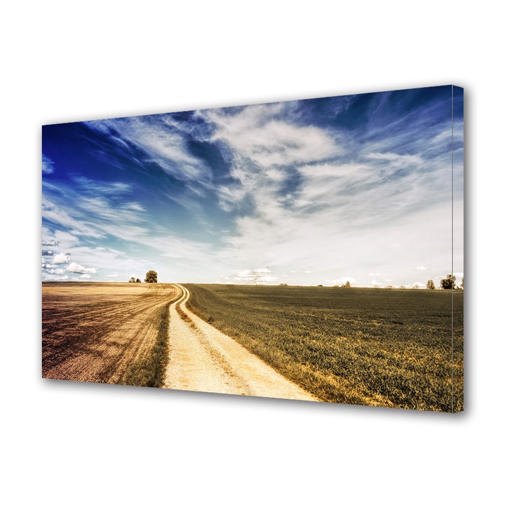 Tablou Canvas Fosforescent, Luminos in Intuneric, Premium, Art Star, Drum de campie, Peisaje, Panza pe cadru de lemn, Decoratiuni Moderne pentru Casa, 50 x 70 cm