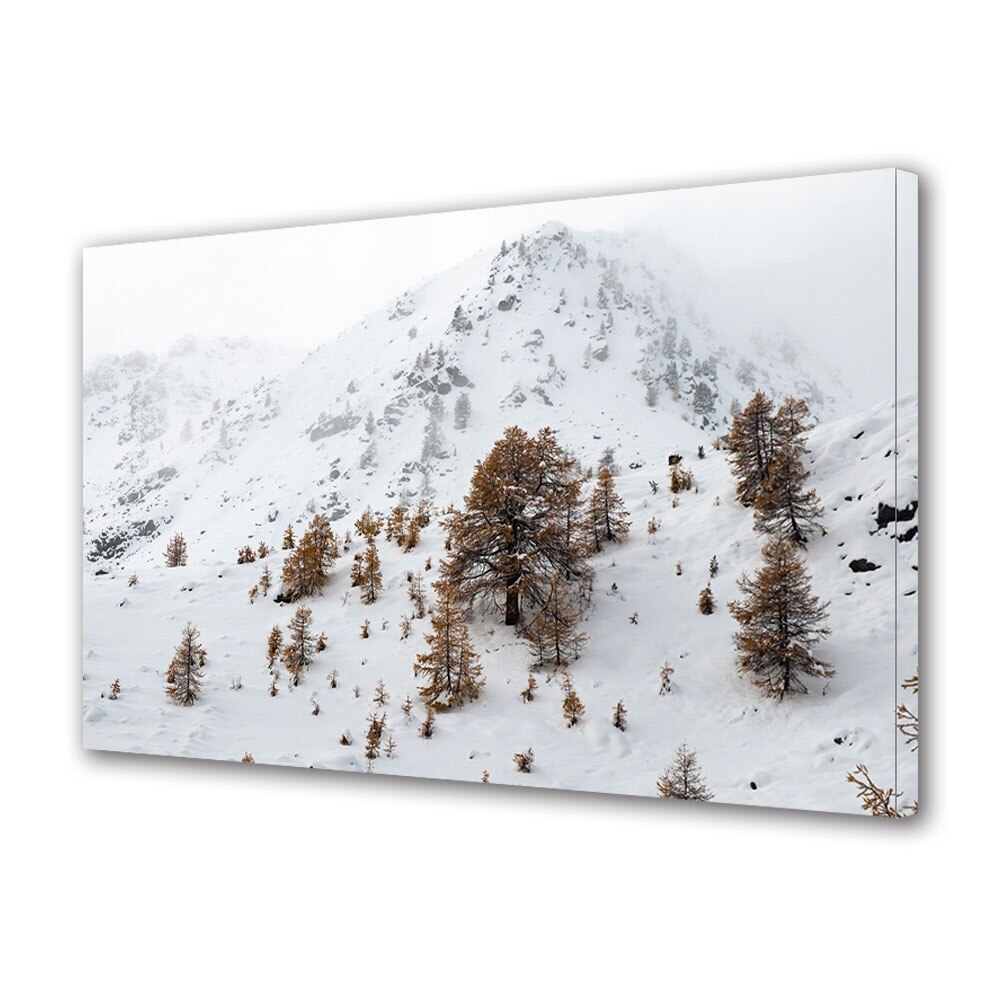 Tablou Canvas Premium ArtDeco, Copaci tomnatici iarna, Panza pe cadru de lemn, Decoratiuni Moderne pentru Casa, 80 x 160 cm