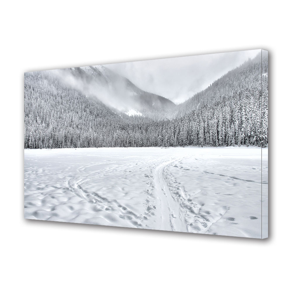 Tablou Canvas Premium ArtDeco, Taramul zapezii, Panza pe cadru de lemn, Decoratiuni Moderne pentru Casa, 80 x 120 cm