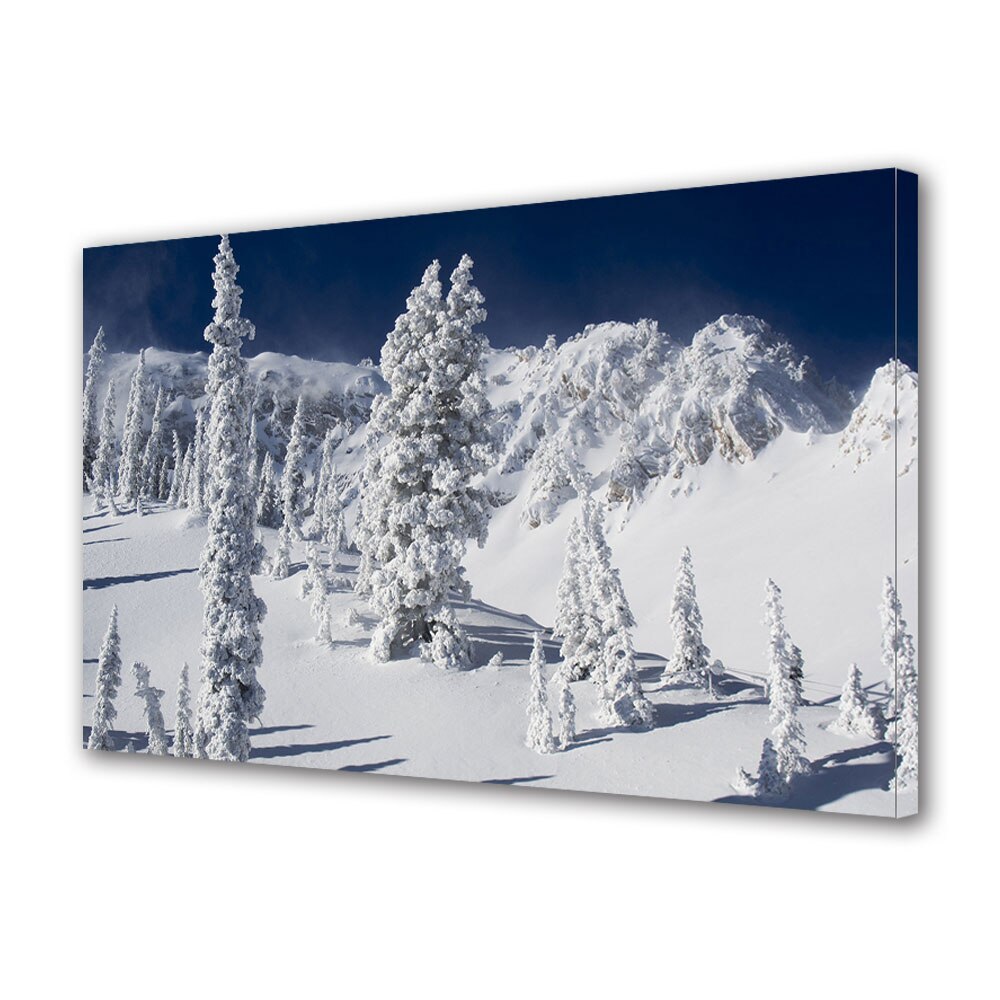 Tablou Canvas Premium ArtDeco, Splendoare de iarna, Panza pe cadru de lemn, Decoratiuni Moderne pentru Casa, 80 x 120 cm