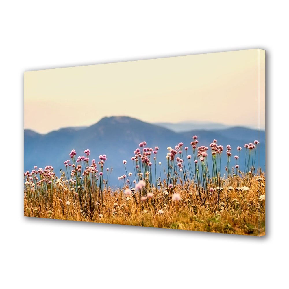 Tablou Canvas Premium ArtDeco, Flori pe munte, Panza pe cadru de lemn, Decoratiuni Moderne pentru Casa, 70 x 100 cm