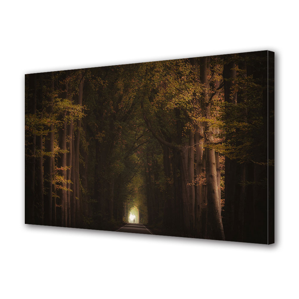 Tablou Canvas Premium ArtDeco, Tunel tomnatic, Panza pe cadru de lemn, Decoratiuni Moderne pentru Casa, 80 x 120 cm