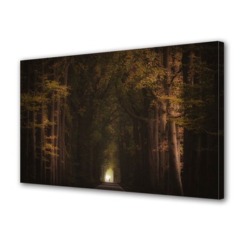 Tablou Canvas Premium ArtDeco, Tunel tomnatic, Panza pe cadru de lemn, Decoratiuni Moderne pentru Casa, 80 x 160 cm Tablou Canvas Premium ArtDeco, Tunel tomnatic, Panza pe cadru de lemn, Decoratiuni Moderne pentru Casa, 80 x 160 cm