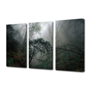 Set Tablouri Multicanvas ArtDeco, Padure sumbra, Panza pe cadru de lemn, Decoratiuni Moderne pentru Casa, 3 piese, 3 x 30 x 45 cm Set Tablouri Multicanvas ArtDeco, Padure sumbra, Panza pe cadru de lemn, Decoratiuni Moderne pentru Casa, 3 piese, 3 x 30 x 45 cm