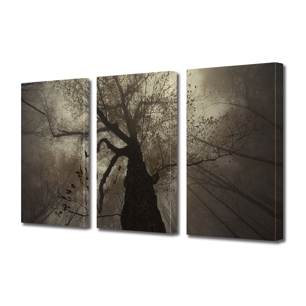 Set Tablouri Multicanvas 3 piese ArtDeco, Copac batran, Panza pe cadru de lemn, Decoratiuni Moderne pentru Casa, 3 x 20 x 30 cm