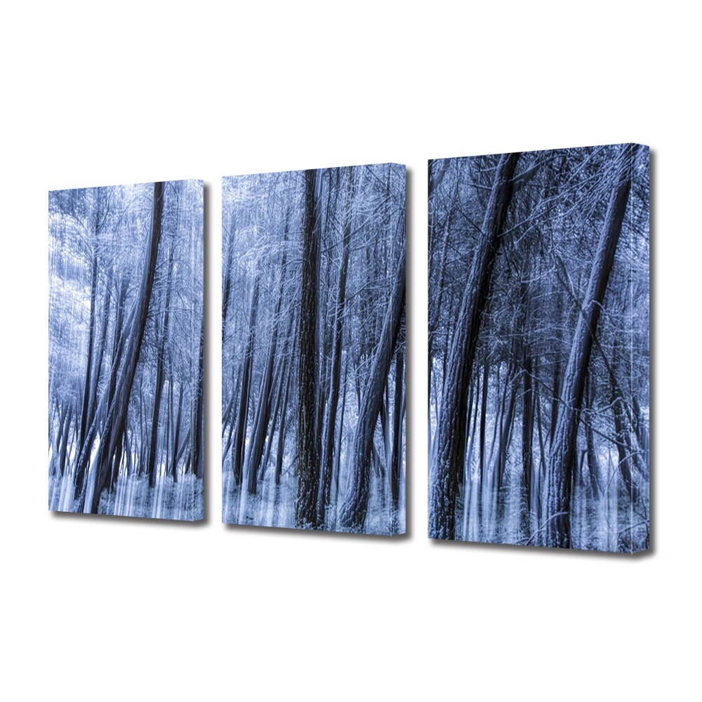 Set Tablouri Multicanvas 3 piese ArtDeco, Padure misterioasa, Panza pe cadru de lemn, Decoratiuni Moderne pentru Casa, 3 x 70 x 100 cm