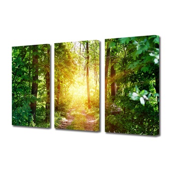 Set Tablouri Multicanvas 3 piese ArtDeco, Lumina calda in padurea verde, Panza pe cadru de lemn, Decoratiuni Moderne pentru Casa, 3 x 20 x 30 cm Set Tablouri Multicanvas 3 piese ArtDeco, Lumina calda in padurea verde, Panza pe cadru de lemn, Decoratiuni Moderne pentru Casa, 3 x 20 x 30 cm