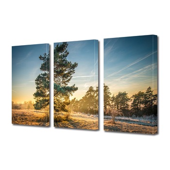 Set Tablouri Multicanvas 3 piese ArtDeco, Raze calde in natura, Panza pe cadru de lemn, Decoratiuni Moderne pentru Casa, 3 x 30 x 45 cm Set Tablouri Multicanvas 3 piese ArtDeco, Raze calde in natura, Panza pe cadru de lemn, Decoratiuni Moderne pentru Casa, 3 x 30 x 45 cm