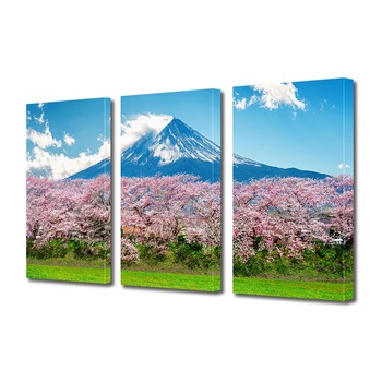 Set Tablouri Multicanvas 3 piese ArtDeco, Copaci infloriti la baza muntelui, Panza pe cadru de lemn, Decoratiuni Moderne pentru Casa, 3 x 20 x 30 cm Set Tablouri Multicanvas 3 piese ArtDeco, Copaci infloriti la baza muntelui, Panza pe cadru de lemn, Decoratiuni Moderne pentru Casa, 3 x 20 x 30 cm