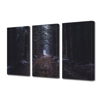 Set Tablouri Multicanvas 3 piese ArtDeco, Drum intunecat, Panza pe cadru de lemn, Decoratiuni Moderne pentru Casa, 3 x 20 x 30 cm Set Tablouri Multicanvas 3 piese ArtDeco, Drum intunecat, Panza pe cadru de lemn, Decoratiuni Moderne pentru Casa, 3 x 20 x 30 cm