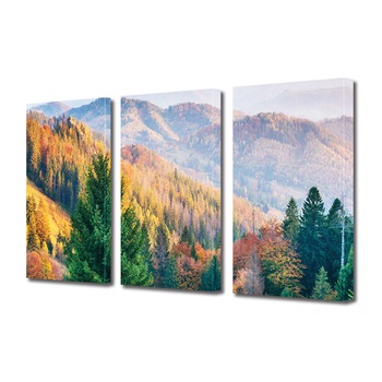 Set Tablouri Multicanvas 3 piese ArtDeco, Padure la inaltime, Panza pe cadru de lemn, Decoratiuni Moderne pentru Casa, 3 x 20 x 30 cm Set Tablouri Multicanvas 3 piese ArtDeco, Padure la inaltime, Panza pe cadru de lemn, Decoratiuni Moderne pentru Casa, 3 x 20 x 30 cm