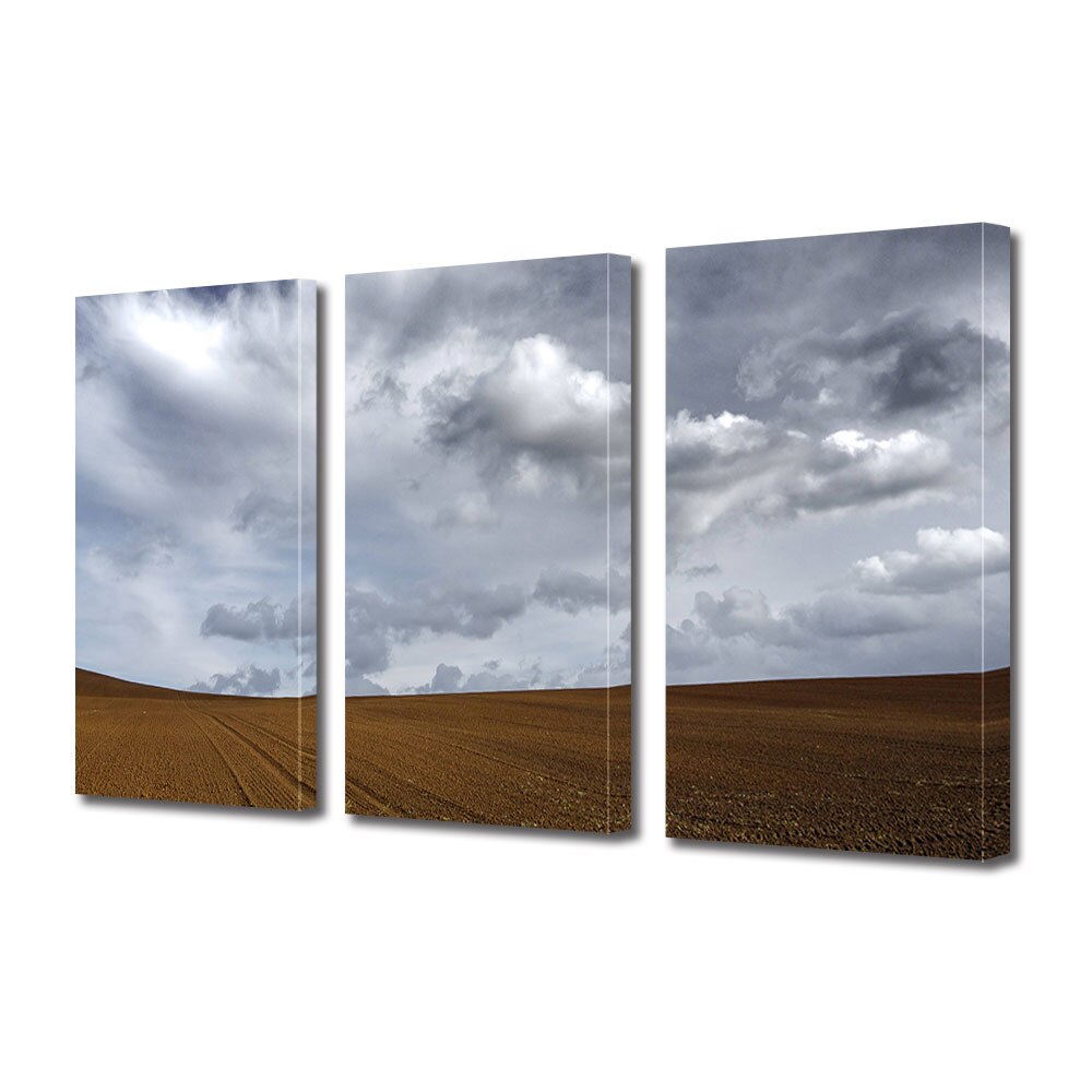 Set Tablouri Multicanvas 3 piese ArtDeco, Camp sub norii cenusii, Panza pe cadru de lemn, Decoratiuni Moderne pentru Casa, 3 x 70 x 100 cm