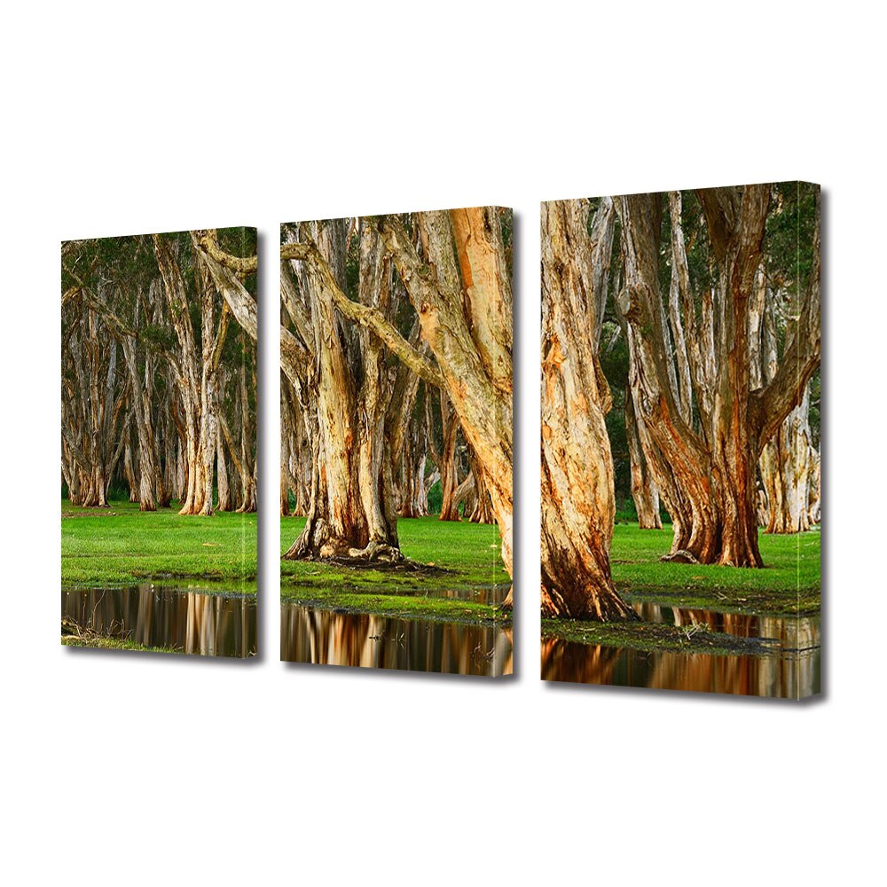 Set Tablouri Multicanvas 3 piese ArtDeco, Copaci batrani, Panza pe cadru de lemn, Decoratiuni Moderne pentru Casa, 3 x 70 x 100 cm