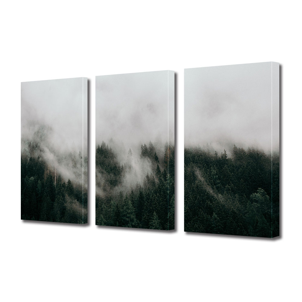 Set Tablouri Multicanvas 3 piese ArtDeco, Ceata deasa, Panza pe cadru de lemn, Decoratiuni Moderne pentru Casa, 3 x 70 x 100 cm