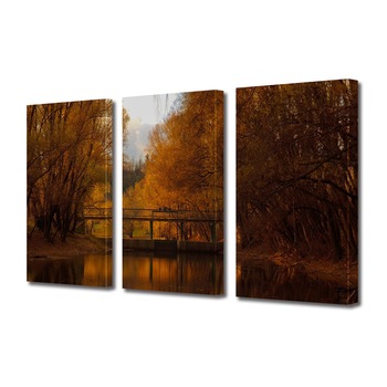 Set Tablouri Multicanvas 3 piese ArtDeco, Reflexii rosiatice, Panza pe cadru de lemn, Decoratiuni Moderne pentru Casa, 3 x 40 x 60 cm Set Tablouri Multicanvas 3 piese ArtDeco, Reflexii rosiatice, Panza pe cadru de lemn, Decoratiuni Moderne pentru Casa, 3 x 40 x 60 cm