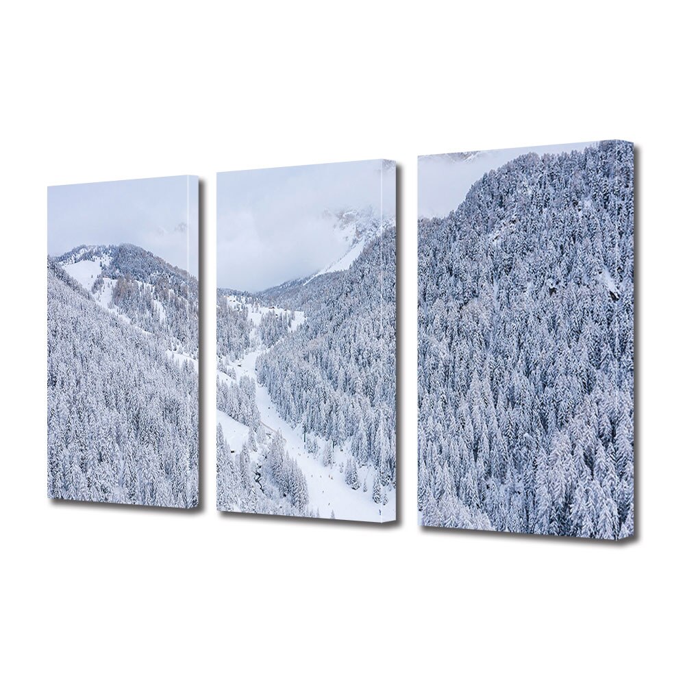 Set Tablouri Multicanvas 3 piese ArtDeco, Brazi acoperiti, Panza pe cadru de lemn, Decoratiuni Moderne pentru Casa, 3 x 40 x 60 cm