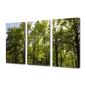 Set Tablouri Multicanvas 3 piese ArtDeco, Verde natural, Panza pe cadru de lemn, Decoratiuni Moderne pentru Casa, 3 x 70 x 100 cm Set Tablouri Multicanvas 3 piese ArtDeco, Verde natural, Panza pe cadru de lemn, Decoratiuni Moderne pentru Casa, 3 x 70 x 100 cm