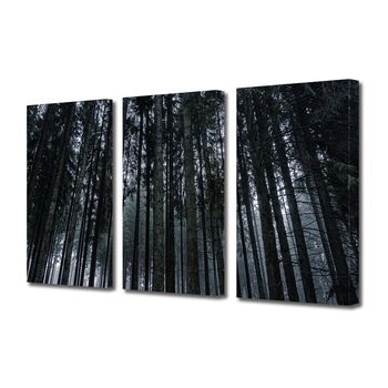 Set Tablouri Multicanvas 3 piese ArtDeco, Padure intunecata de brazi, Panza pe cadru de lemn, Decoratiuni Moderne pentru Casa, 3 x 20 x 30 cm Set Tablouri Multicanvas 3 piese ArtDeco, Padure intunecata de brazi, Panza pe cadru de lemn, Decoratiuni Moderne pentru Casa, 3 x 20 x 30 cm