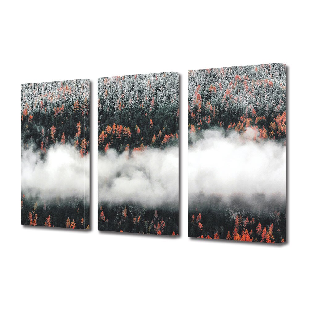 Set Tablouri Multicanvas 3 piese ArtDeco, Ceata strabate padurea de brazi, Panza pe cadru de lemn, Decoratiuni Moderne pentru Casa, 3 x 20 x 30 cm