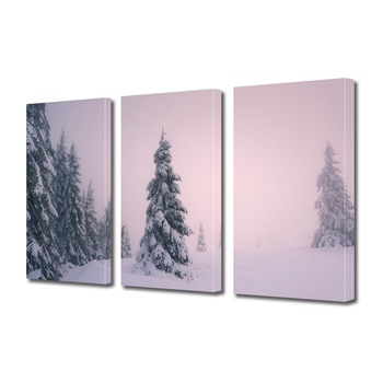 Set Tablouri Multicanvas 3 piese ArtDeco, Brazi inzapeziti, Panza pe cadru de lemn, Decoratiuni Moderne pentru Casa, 3 x 50 x 70 cm Set Tablouri Multicanvas 3 piese ArtDeco, Brazi inzapeziti, Panza pe cadru de lemn, Decoratiuni Moderne pentru Casa, 3 x 50 x 70 cm