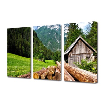 Set Tablouri Multicanvas 3 piese ArtDeco, Busteni la munte, Panza pe cadru de lemn, Decoratiuni Moderne pentru Casa, 3 x 50 x 70 cm Set Tablouri Multicanvas 3 piese ArtDeco, Busteni la munte, Panza pe cadru de lemn, Decoratiuni Moderne pentru Casa, 3 x 50 x 70 cm