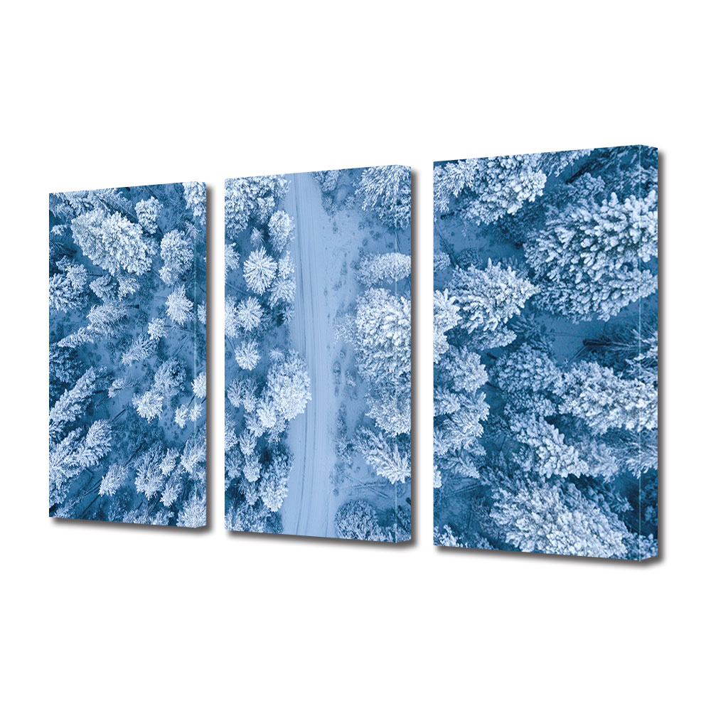 Set Tablouri Multicanvas 3 piese ArtDeco, Padure acoperita in alb, Panza pe cadru de lemn, Decoratiuni Moderne pentru Casa, 3 x 20 x 30 cm