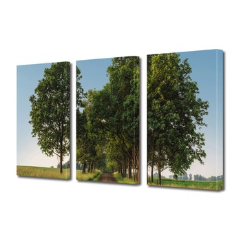 Set Tablouri Multicanvas 3 piese ArtDeco, Insiruire de copaci in toiul zilei, Panza pe cadru de lemn, Decoratiuni Moderne pentru Casa, 3 x 70 x 100 cm Set Tablouri Multicanvas 3 piese ArtDeco, Insiruire de copaci in toiul zilei, Panza pe cadru de lemn, Decoratiuni Moderne pentru Casa, 3 x 70 x 100 cm