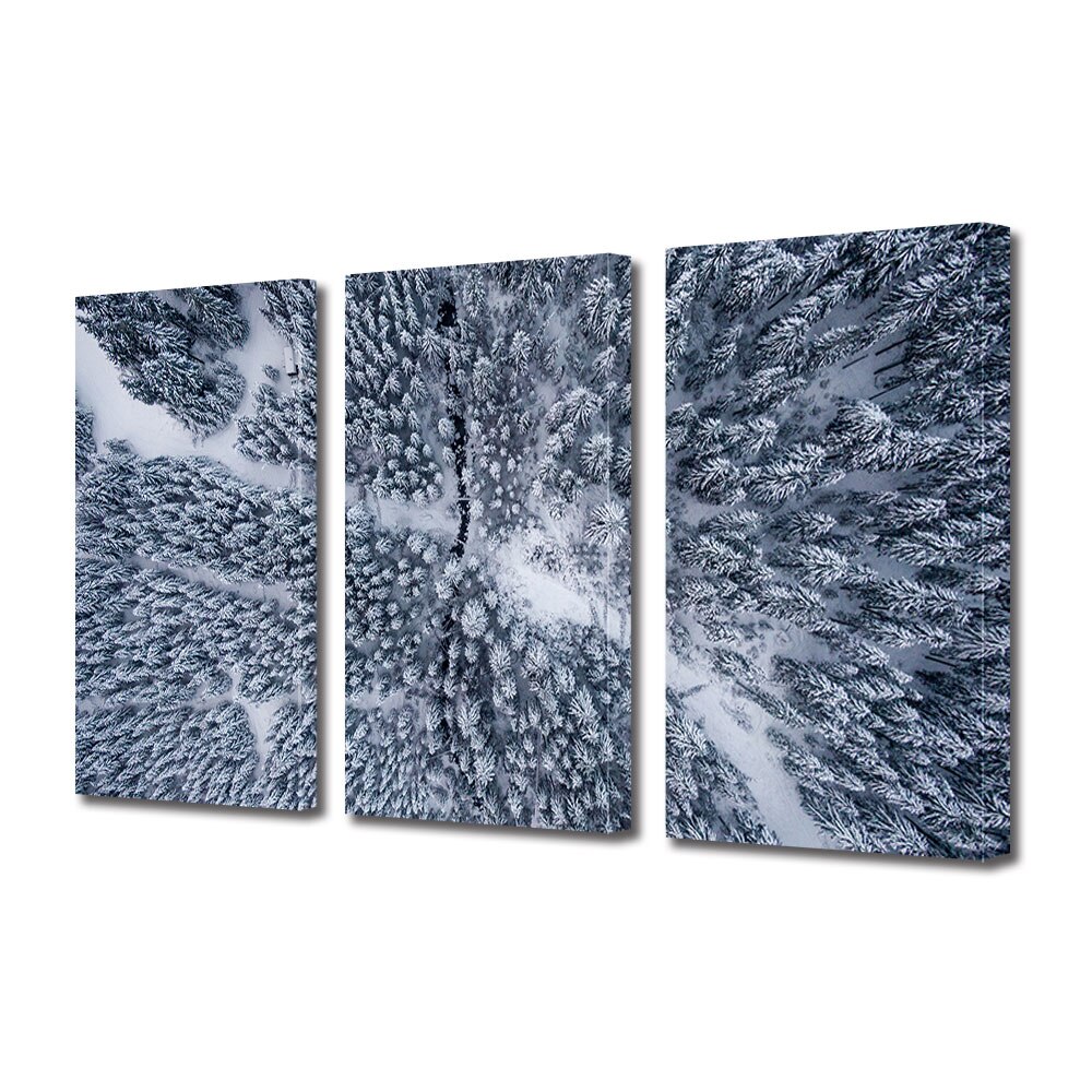Set Tablouri Multicanvas 3 piese ArtDeco, Padure de brazi imbracata in alb, Panza pe cadru de lemn, Decoratiuni Moderne pentru Casa, 3 x 70 x 100 cm