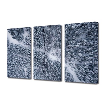 Set Tablouri Multicanvas 3 piese ArtDeco, Padure de brazi imbracata in alb, Panza pe cadru de lemn, Decoratiuni Moderne pentru Casa, 3 x 70 x 100 cm Set Tablouri Multicanvas 3 piese ArtDeco, Padure de brazi imbracata in alb, Panza pe cadru de lemn, Decoratiuni Moderne pentru Casa, 3 x 70 x 100 cm