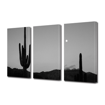 Set Tablouri Multicanvas 3 piese ArtDeco, Siluete de cactusi la lumina lunii, Panza pe cadru de lemn, Decoratiuni Moderne pentru Casa, 3 x 50 x 70 cm Set Tablouri Multicanvas 3 piese ArtDeco, Siluete de cactusi la lumina lunii, Panza pe cadru de lemn, Decoratiuni Moderne pentru Casa, 3 x 50 x 70 cm