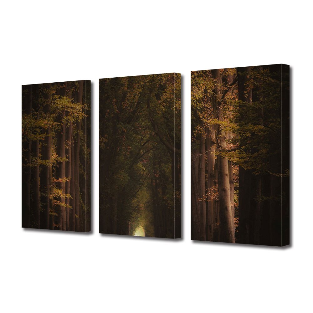 Set Tablouri Multicanvas 3 piese ArtDeco, Tunel tomnatic, Panza pe cadru de lemn, Decoratiuni Moderne pentru Casa, 3 x 20 x 30 cm