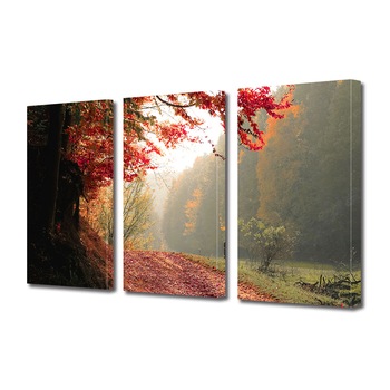 Set Tablouri Multicanvas 3 piese ArtDeco, Plimbare la marginea padurii rosiatice, Panza pe cadru de lemn, Decoratiuni Moderne pentru Casa, 3 x 70 x 100 cm Set Tablouri Multicanvas 3 piese ArtDeco, Plimbare la marginea padurii rosiatice, Panza pe cadru de lemn, Decoratiuni Moderne pentru Casa, 3 x 70 x 100 cm