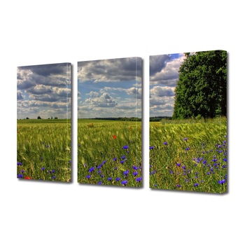 Set Tablouri Multicanvas 3 piese ArtDeco, Campie cu flori in bataia vantului, Panza pe cadru de lemn, Decoratiuni Moderne pentru Casa, 3 x 70 x 100 cm Set Tablouri Multicanvas 3 piese ArtDeco, Campie cu flori in bataia vantului, Panza pe cadru de lemn, Decoratiuni Moderne pentru Casa, 3 x 70 x 100 cm
