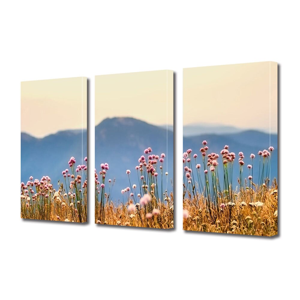 Set Tablouri Multicanvas 3 piese ArtDeco, Flori pe munte, Panza pe cadru de lemn, Decoratiuni Moderne pentru Casa, 3 x 50 x 70 cm