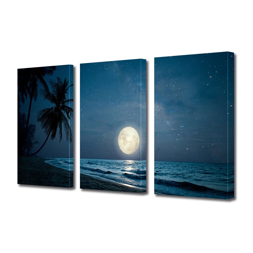 Set Tablouri Multicanvas 3 piese ArtDeco, O noapte exotica, Panza pe cadru de lemn, Decoratiuni Moderne pentru Casa, 3 x 40 x 60 cm