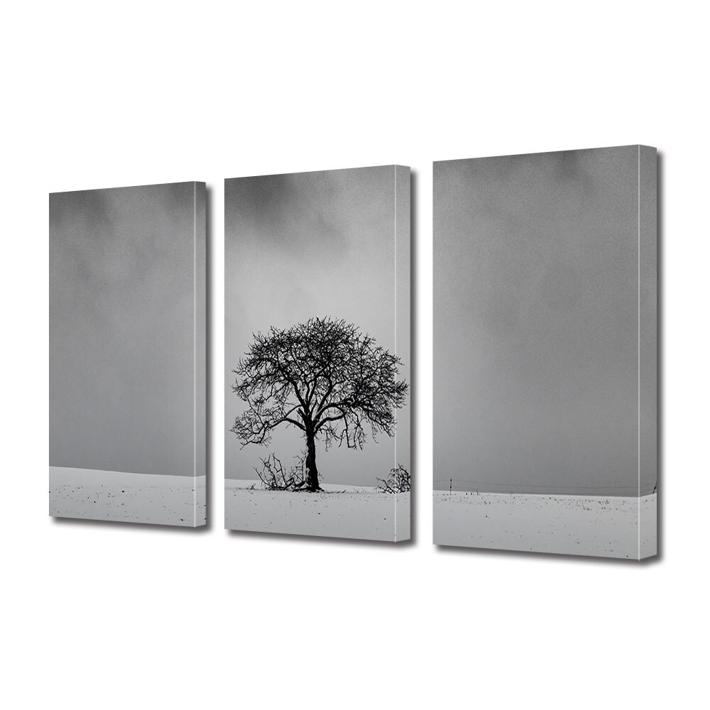 Set Tablouri Multicanvas 3 piese ArtDeco, Iarna geroasa, Panza pe cadru de lemn, Decoratiuni Moderne pentru Casa, 3 x 70 x 100 cm