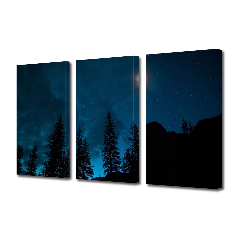 Set Tablouri Multicanvas 3 piese ArtDeco, In toiul noptii, Panza pe cadru de lemn, Decoratiuni Moderne pentru Casa, 3 x 70 x 100 cm