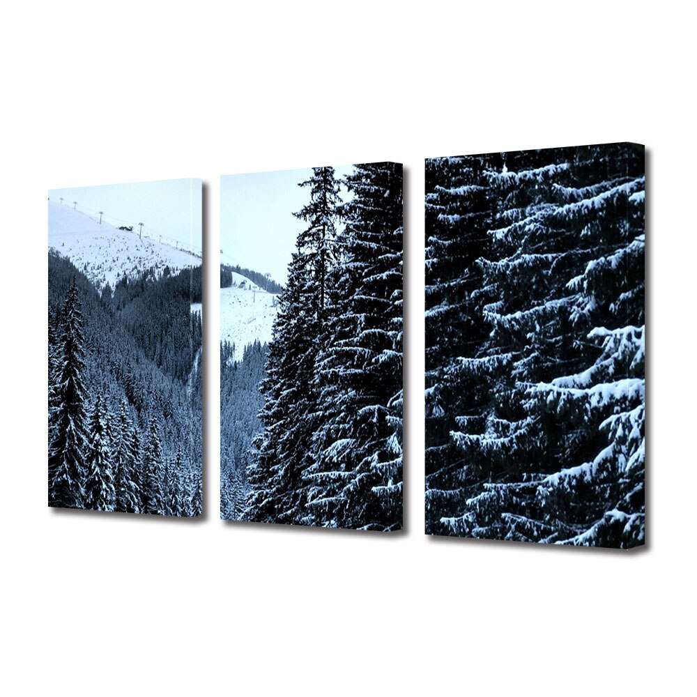 Set Tablouri Multicanvas 3 piese ArtDeco, Partie indepartata, Panza pe cadru de lemn, Decoratiuni Moderne pentru Casa, 3 x 70 x 100 cm