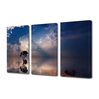 Set Tablouri Multicanvas 3 piese ArtDeco, Copacul si apa, Panza pe cadru de lemn, Decoratiuni Moderne pentru Casa, 3 x 70 x 100 cm Set Tablouri Multicanvas 3 piese ArtDeco, Copacul si apa, Panza pe cadru de lemn, Decoratiuni Moderne pentru Casa, 3 x 70 x 100 cm