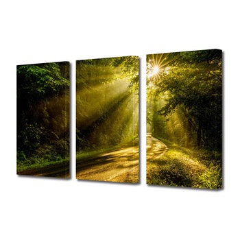 Set Tablouri Multicanvas 3 piese ArtDeco, Peste drum si prin padure, Panza pe cadru de lemn, Decoratiuni Moderne pentru Casa, 3 x 20 x 30 cm Set Tablouri Multicanvas 3 piese ArtDeco, Peste drum si prin padure, Panza pe cadru de lemn, Decoratiuni Moderne pentru Casa, 3 x 20 x 30 cm