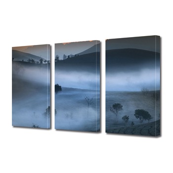 Set Tablouri Multicanvas 3 piese ArtDeco, Ceata imprastiata pe culmi, Panza pe cadru de lemn, Decoratiuni Moderne pentru Casa, 3 x 20 x 30 cm Set Tablouri Multicanvas 3 piese ArtDeco, Ceata imprastiata pe culmi, Panza pe cadru de lemn, Decoratiuni Moderne pentru Casa, 3 x 20 x 30 cm