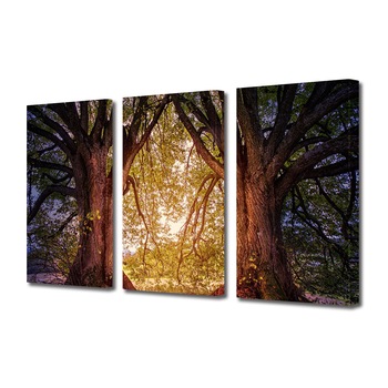 Set Tablouri Multicanvas 3 piese ArtDeco, Lumina zilei intre arbori, Panza pe cadru de lemn, Decoratiuni Moderne pentru Casa, 3 x 50 x 70 cm Set Tablouri Multicanvas 3 piese ArtDeco, Lumina zilei intre arbori, Panza pe cadru de lemn, Decoratiuni Moderne pentru Casa, 3 x 50 x 70 cm