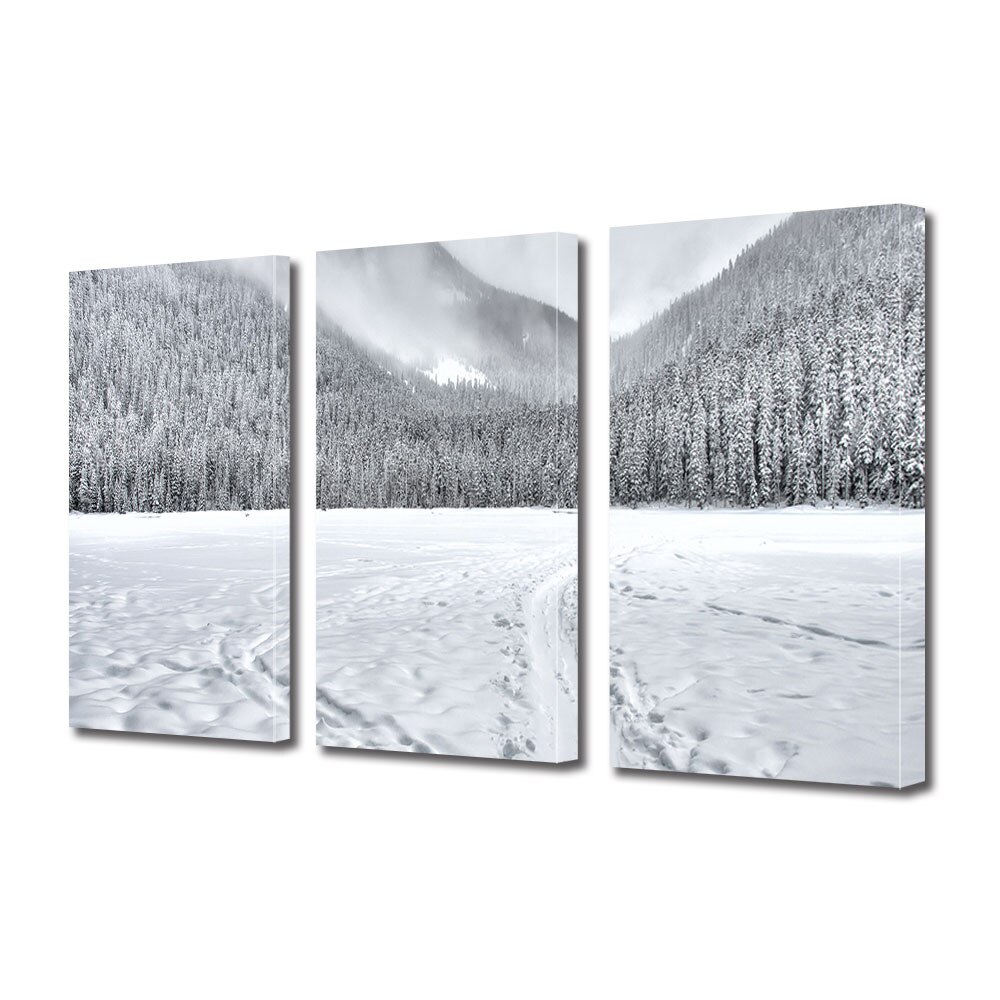 Set Tablouri Multicanvas 3 piese ArtDeco, Taramul zapezii, Panza pe cadru de lemn, Decoratiuni Moderne pentru Casa, 3 x 70 x 100 cm