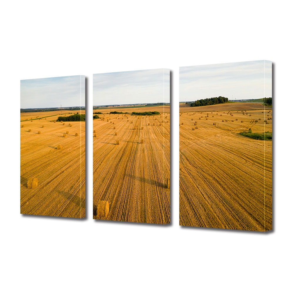 Set Tablouri Multicanvas 3 piese ArtDeco, Camp arat, Panza pe cadru de lemn, Decoratiuni Moderne pentru Casa, 3 x 70 x 100 cm