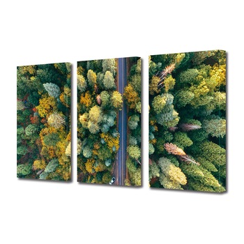 Set Tablouri Multicanvas 3 piese ArtDeco, Drum privit de sus, Panza pe cadru de lemn, Decoratiuni Moderne pentru Casa, 3 x 20 x 30 cm Set Tablouri Multicanvas 3 piese ArtDeco, Drum privit de sus, Panza pe cadru de lemn, Decoratiuni Moderne pentru Casa, 3 x 20 x 30 cm